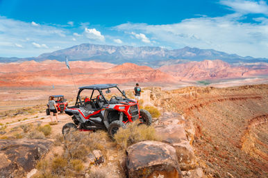 UTV Ride & Wine Tasting Tour: Discover Local Gems (We Drive) image 3