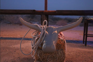 Desert Tour in a Covered Wagon Adventure with Live Music & BBQ image 10