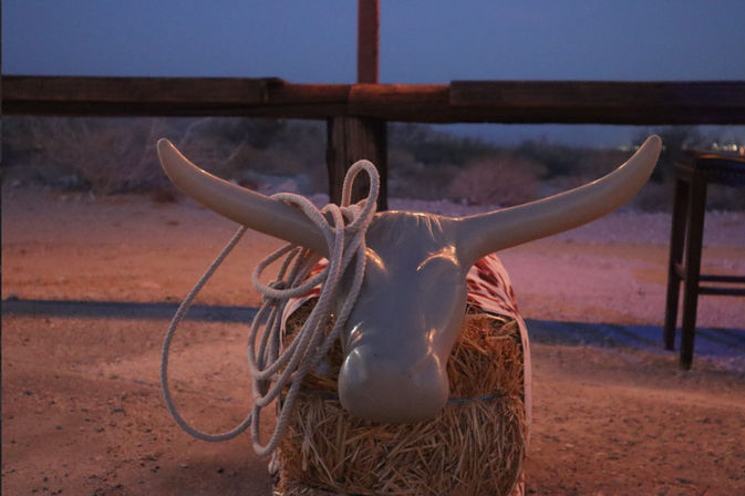 Desert Tour in a Covered Wagon Adventure with Live Music & BBQ image 10