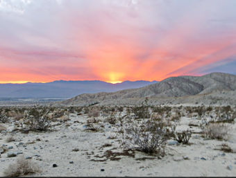 Desert Tour in a Covered Wagon Adventure with Live Music & BBQ image 4