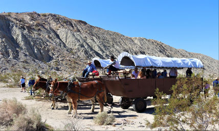 Desert Tour in a Covered Wagon Adventure with Live Music & BBQ image 2
