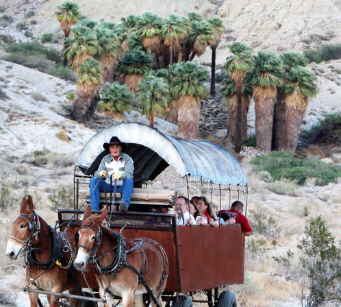 Desert Tour in a Covered Wagon Adventure with Live Music & BBQ image 8