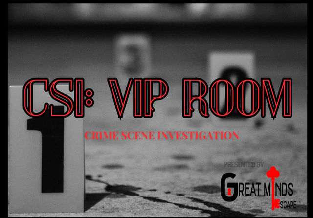 Escape the Room... Anywhere: Mobile Escape Room Experience for Parties & Events image 4
