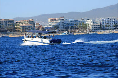 1-Hour Private Yacht Experience in Los Cabos image 10