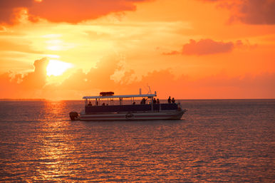 Nights of Lights Boat Trips: Choose from Two Cruise Types image 8