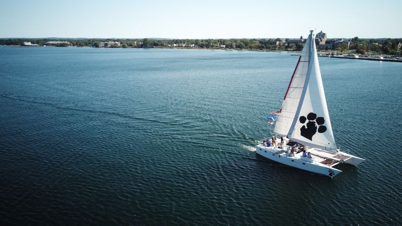 Happy Hour Sailing Cruise with Cash Bar image 8
