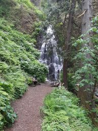 Waterfall Express: Hop-On Hop-Off Trolley Tour of Multnomah Falls image 8