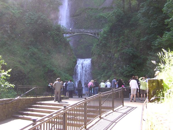 Waterfall Express: Hop-On Hop-Off Trolley Tour of Multnomah Falls image 4