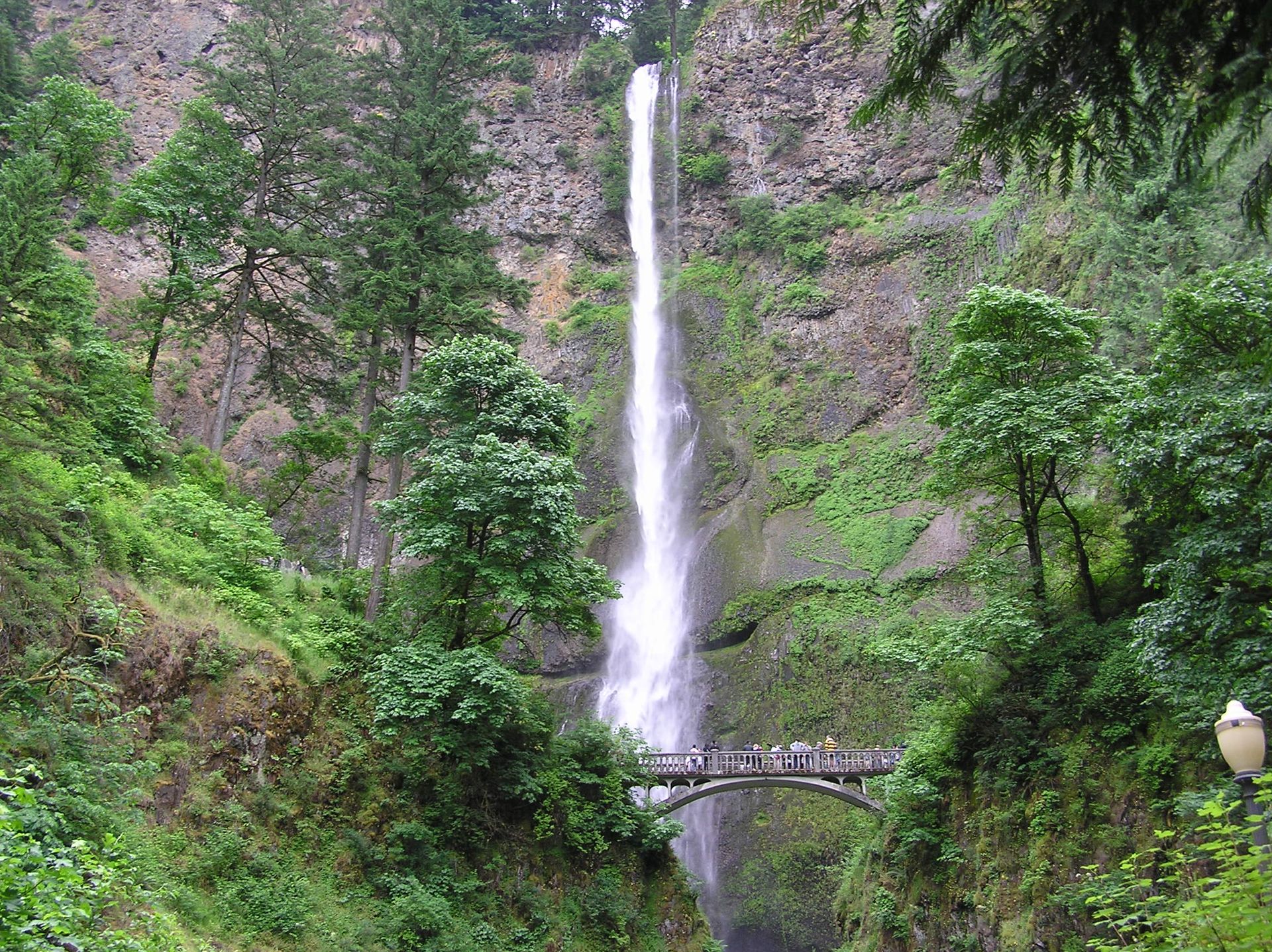 Waterfall Express: Hop-On Hop-Off Trolley Tour of Multnomah Falls image 2