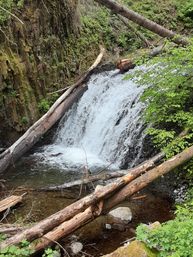 Waterfall Express: Hop-On Hop-Off Trolley Tour of Multnomah Falls image 10