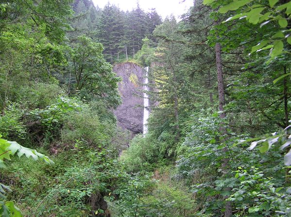 Waterfall Express: Hop-On Hop-Off Trolley Tour of Multnomah Falls image 13