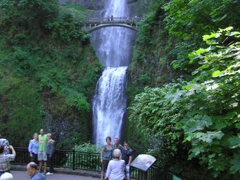 Waterfall Express: Hop-On Hop-Off Trolley Tour of Multnomah Falls image 7