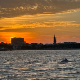 Luxury Private Charter: Cruise on a 26' Sea Hunt 265 Ultra with Captain image 2