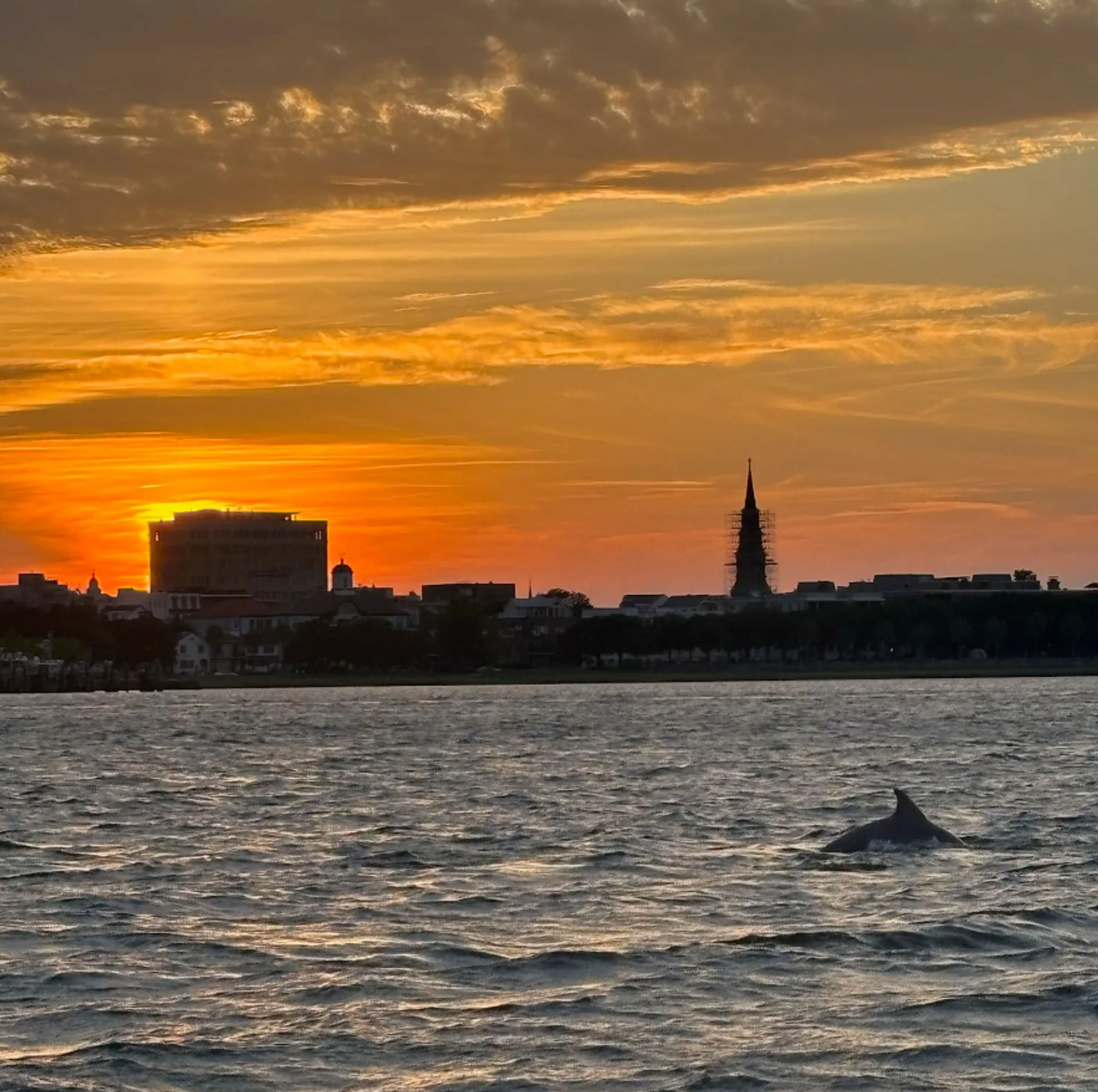 Luxury Private Charter: Cruise on a 26' Sea Hunt 265 Ultra with Captain image 2