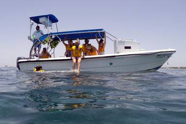 Snorkel with Turtles at the Underwater Museum image 7