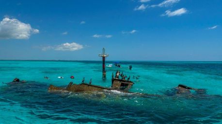 Snorkel with Turtles at the Underwater Museum image 8