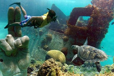 Snorkel with Turtles at the Underwater Museum image 5