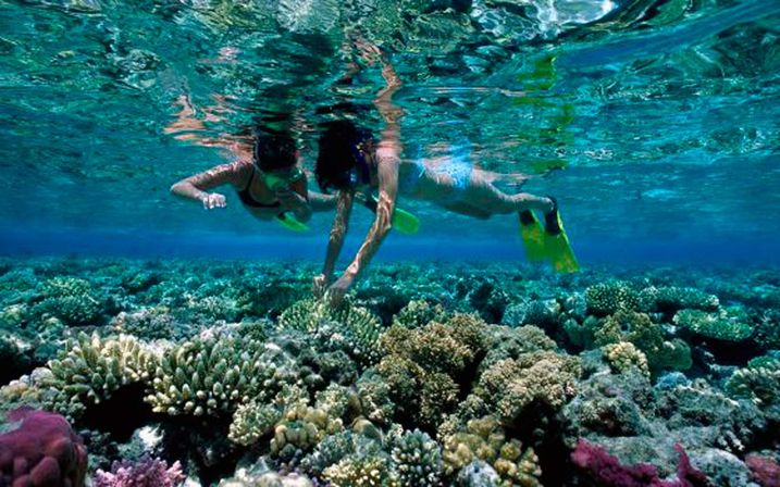 Snorkel with Turtles at the Underwater Museum image 9