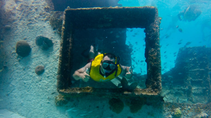 Snorkel with Turtles at the Underwater Museum image 10