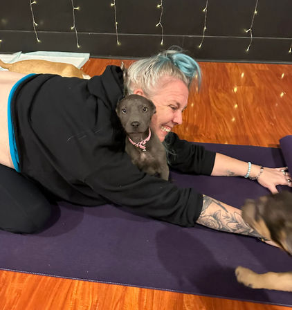 Puppy Yoga: Private Yoga Party with Puppy Snuggles image 5