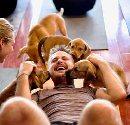 Puppy Yoga: Private Yoga Party with Puppy Snuggles image 4