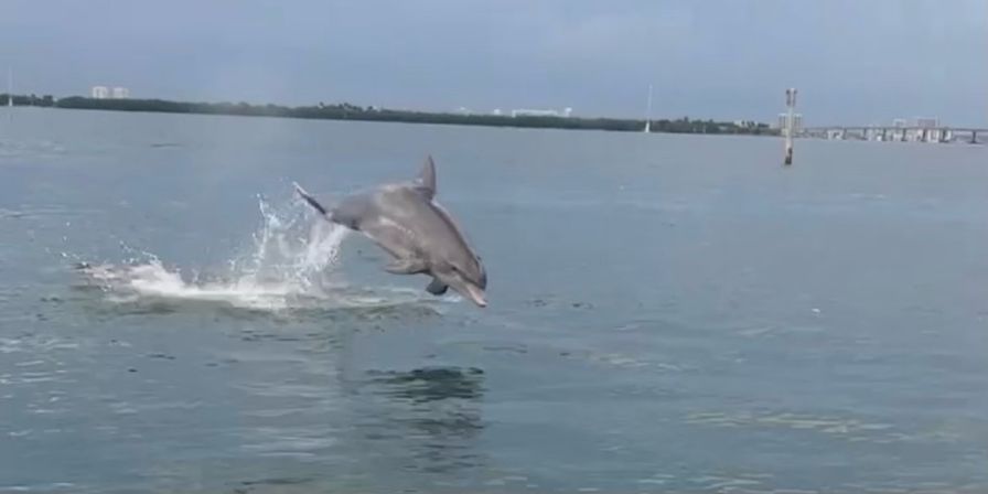 Island Adventure Awaits: Miami Boat Rental to Raccoon Island image 21