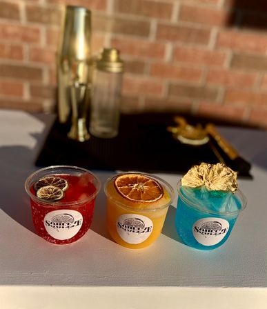 Interactive Mobile Mixology Class: Ultimate Cocktail Fun image 15