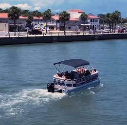 Private Dolphin & Historical Cruise in St. Augustine image 5