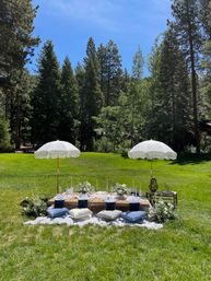 Luxury Picnic with Decor, Gourmet Charcuterie, Fresh Flower Keepsake Centerpieces & More (BYOB) image 3