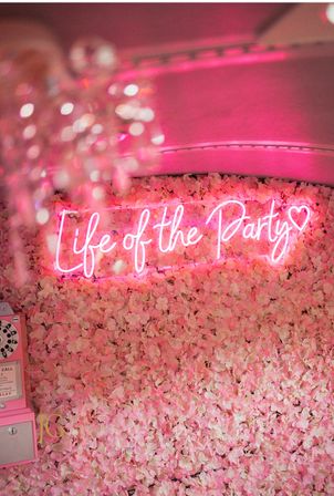 Pink Party on Wheels: Houston's Ultimate BYOB Party Bus Experience (Up to 15 Passengers) image 3