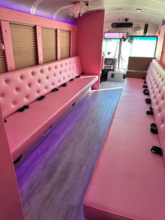 Pink Party on Wheels: Houston's Ultimate BYOB Party Bus Experience (Up to 15 Passengers) image 16