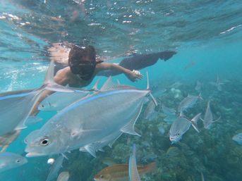Private Catamaran Booze Cruise & Snorkeling image 7