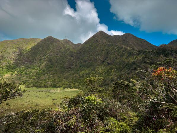 Deep Jungle Waterfall Exploration Tour with Optional Transportation & Photographer image 5