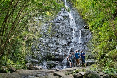Deep Jungle Waterfall Exploration Tour with Optional Transportation & Photographer image 6