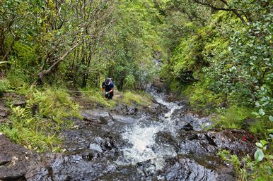 Deep Jungle Waterfall Exploration Tour with Optional Transportation & Photographer image 8