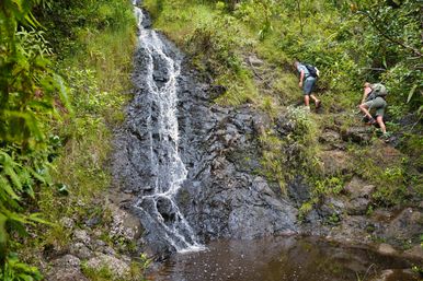 Deep Jungle Waterfall Exploration Tour with Optional Transportation & Photographer image 4