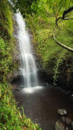 Deep Jungle Waterfall Exploration Tour with Optional Transportation & Photographer image 2