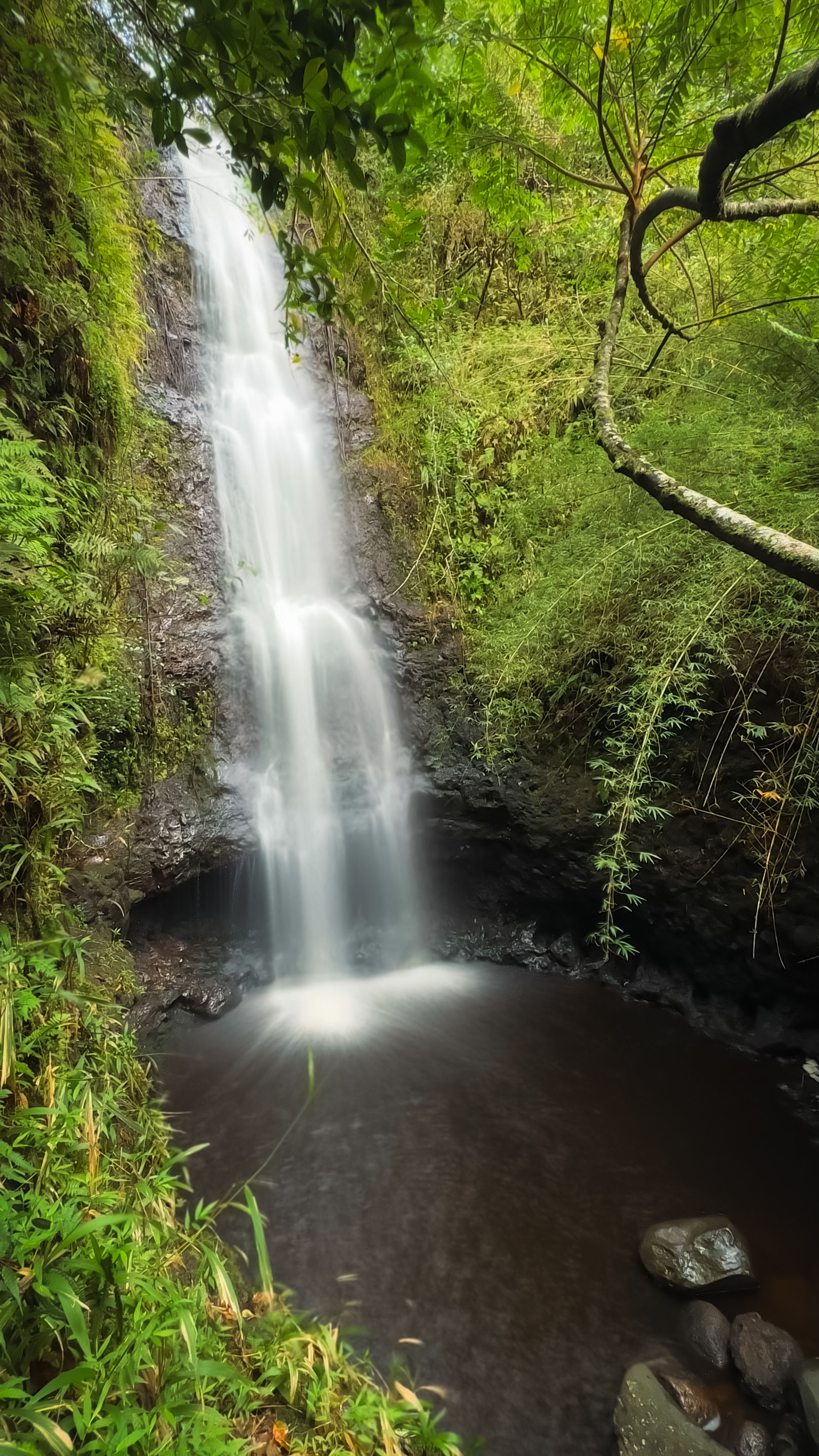 Deep Jungle Waterfall Exploration Tour with Optional Transportation & Photographer image 2