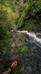 Deep Jungle Waterfall Exploration Tour with Optional Transportation & Photographer image