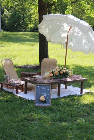 The Art of Picnicking in New York City image 8