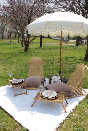 The Art of Picnicking in New York City image 2