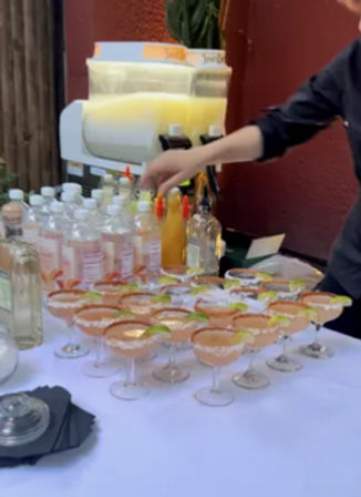 Bartending, Set-Up & Serving Services for BYOB Events image 15