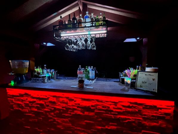 Bartending, Set-Up & Serving Services for BYOB Events image 13