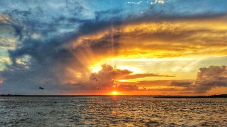 Folly Beach Sunset Dolphin Cruise image 6