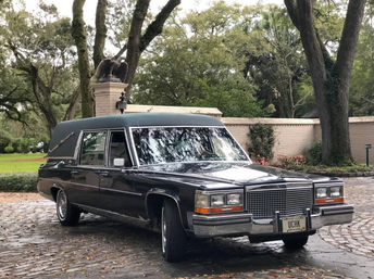 Mobile Tarot Readings in the World's Only Tarot Hearse image 3