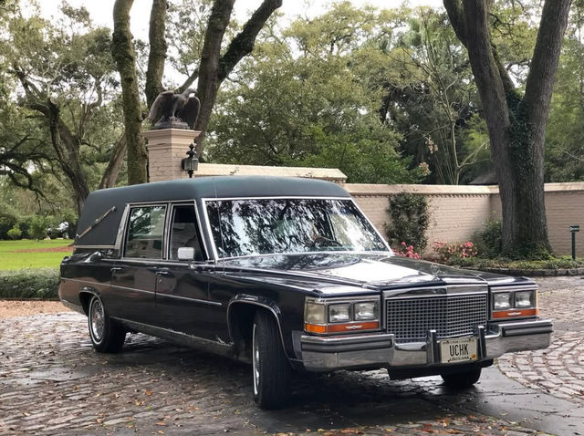 Mobile Tarot Readings in the World's Only Tarot Hearse image 3