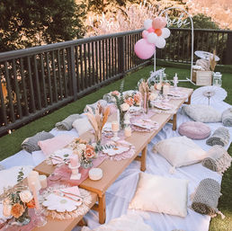 Insta-Worthy Aesthetic Luxury Picnic Experience  image 7