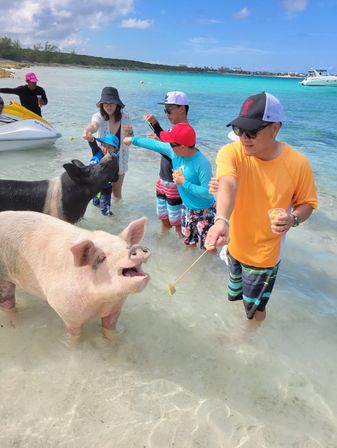 Private Boat Tour: Visit Rose Island, Snorkel with Turtles & Swim with Pigs! image 13