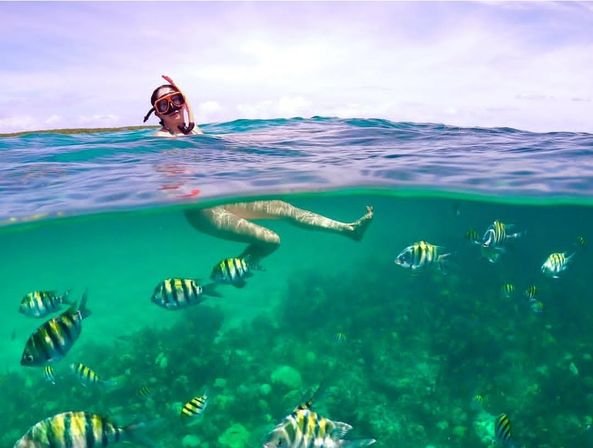 Private Boat Tour: Visit Rose Island, Snorkel with Turtles & Swim with Pigs! image 19
