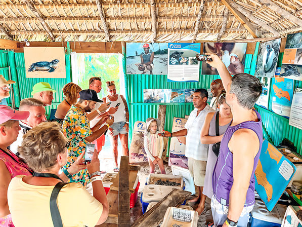 Isla Saona Speedboat Adventure with Lunch & Turtle Sanctuary Visit image 4